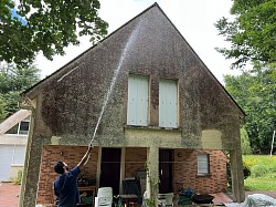 Traitement du champignon